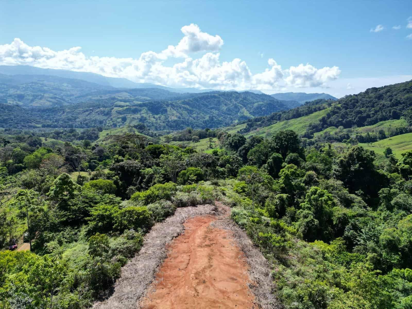 24 Acres – Land With 360° Mountain View, Jungle Legal Water & Electricity!