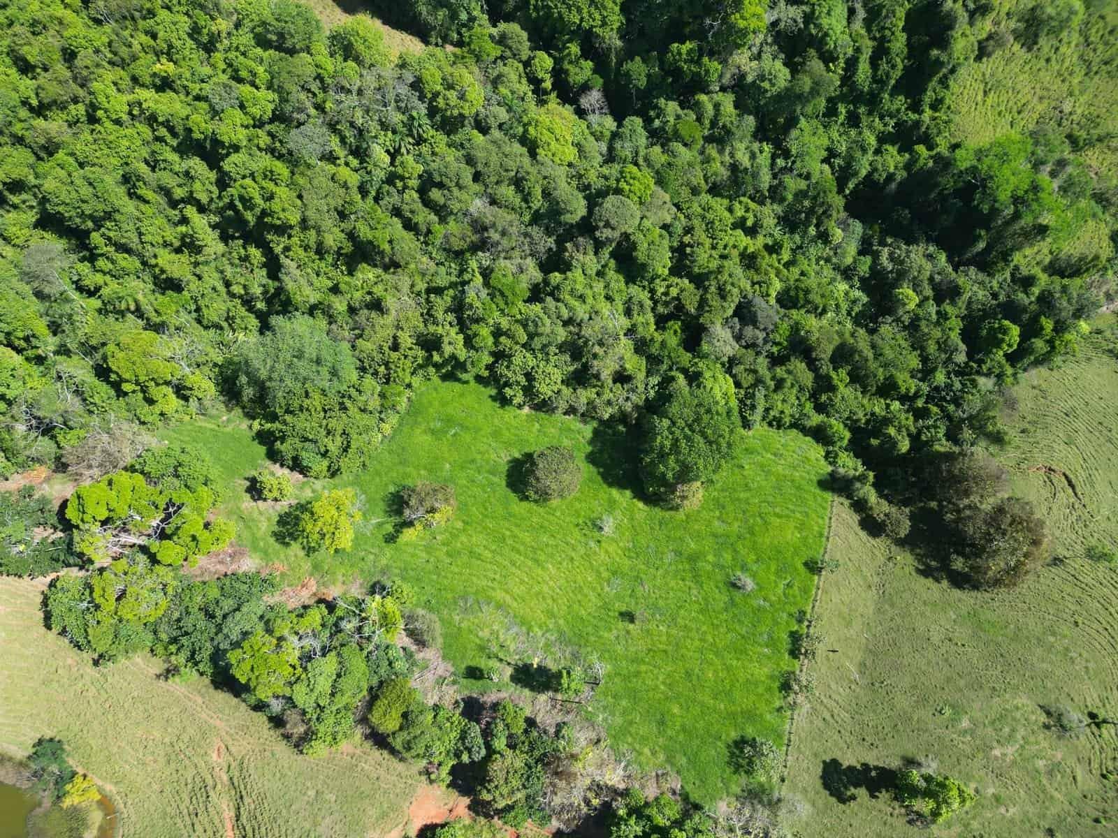24 Acres – Land With 360° Mountain View, Jungle Legal Water & Electricity!