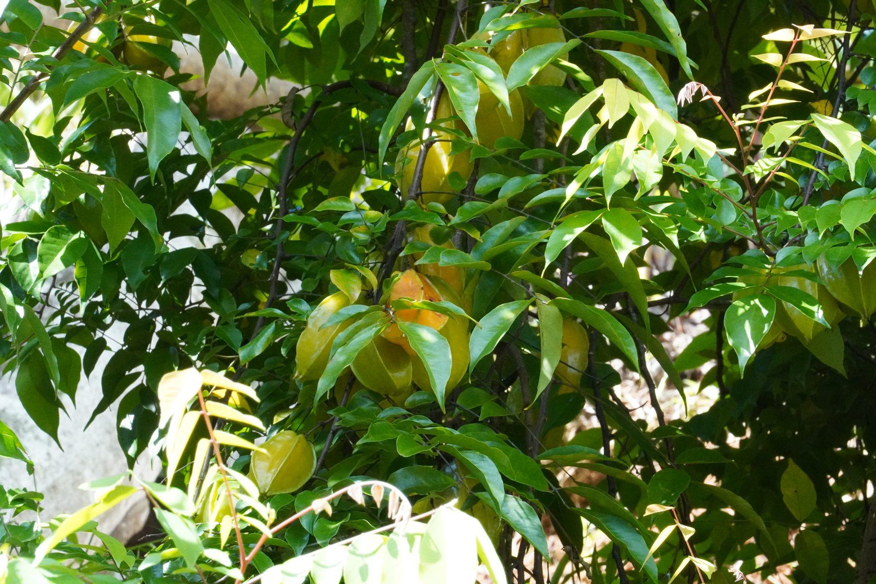Locations we serve in Costa Rica — real estate in Dominical, Uvita, Ojochal and beyond
