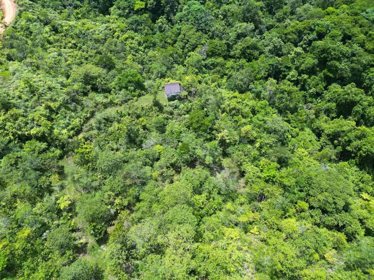 32 Acres: Mountain Land With Spring, Jungle & Usable Space property photo 1 in Costa Rica