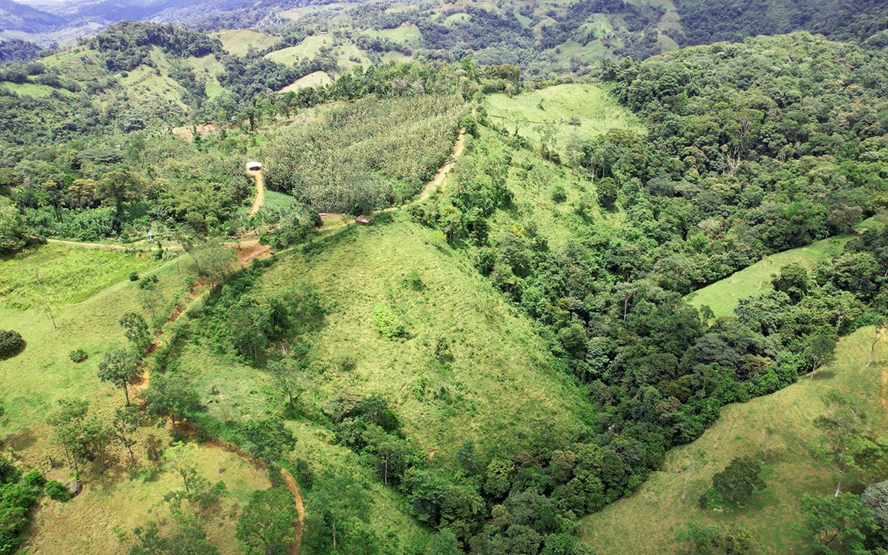 Finca Los Toritos: 1-Hectare Parcels With Waterfalls & Shared Jungle Sanctuary property photo 1 in Costa Rica