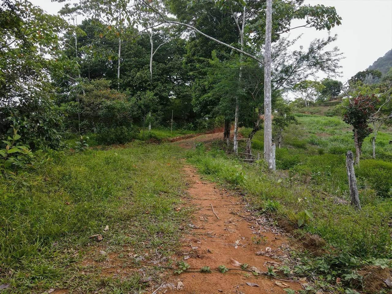 A Promising Development Opportunity in San Josecito, Perez Zeledon in San Isidro del General, San José, Costa Rica