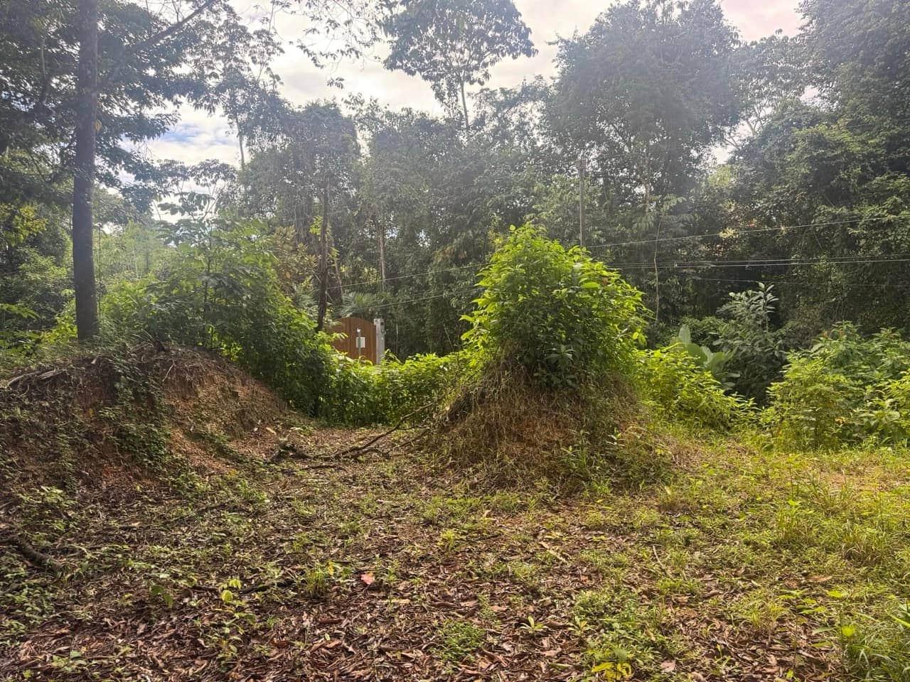 $175,000 - 0.67 Acres - Lot In The Heart of Uvita, Motivated Seller! property photo 3 in Costa Rica