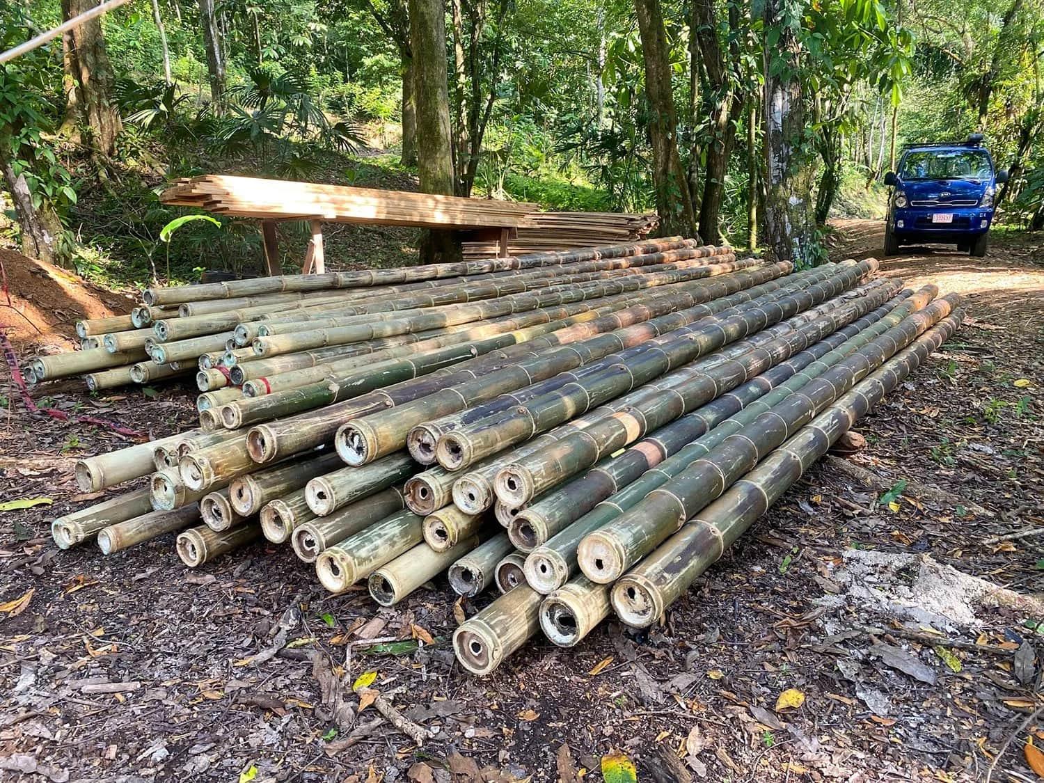 Bohorica Home Build: Black Bamboo Roof, photo 2