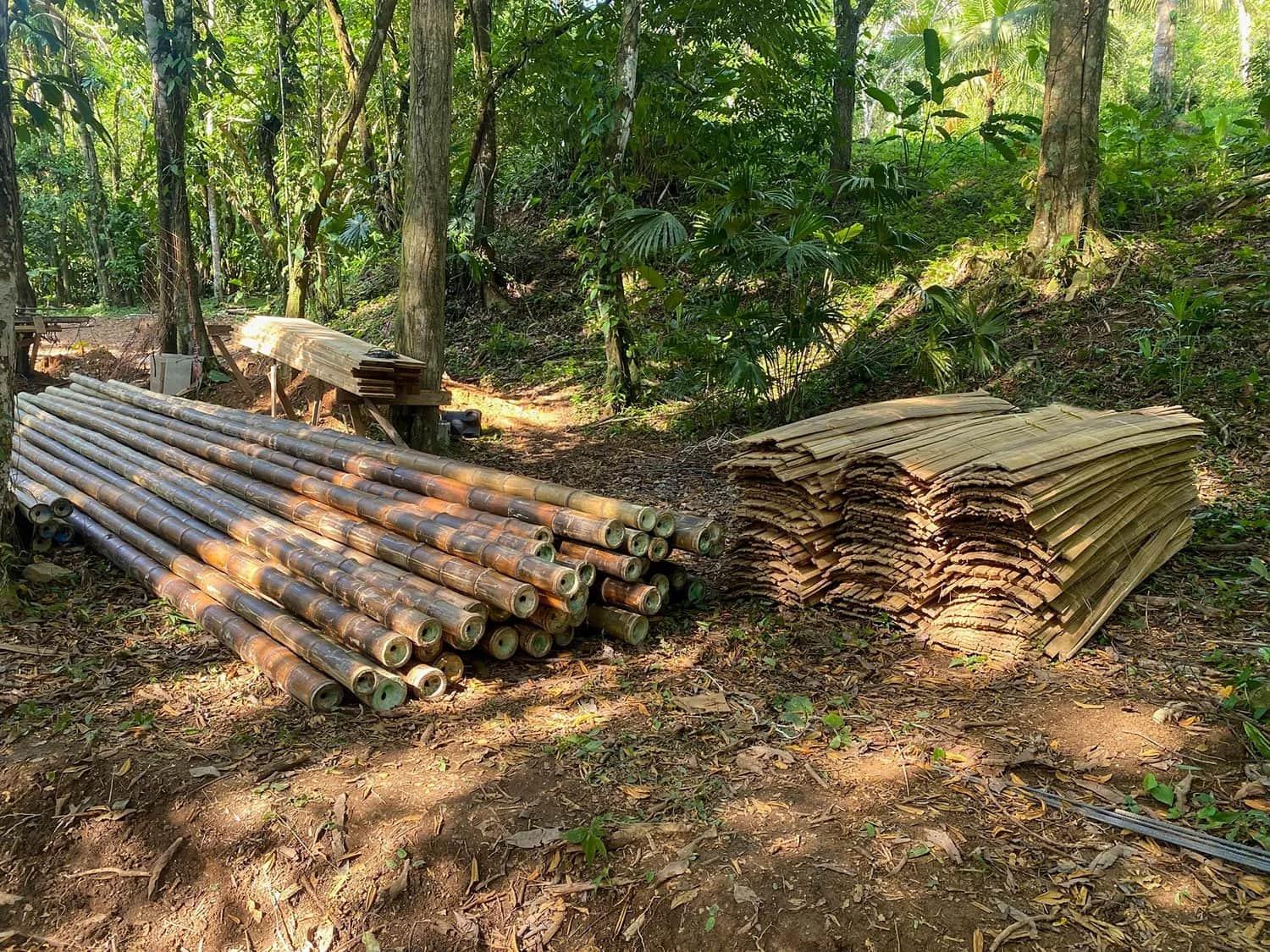 Bohorica Home Build: Black Bamboo Roof, photo 3