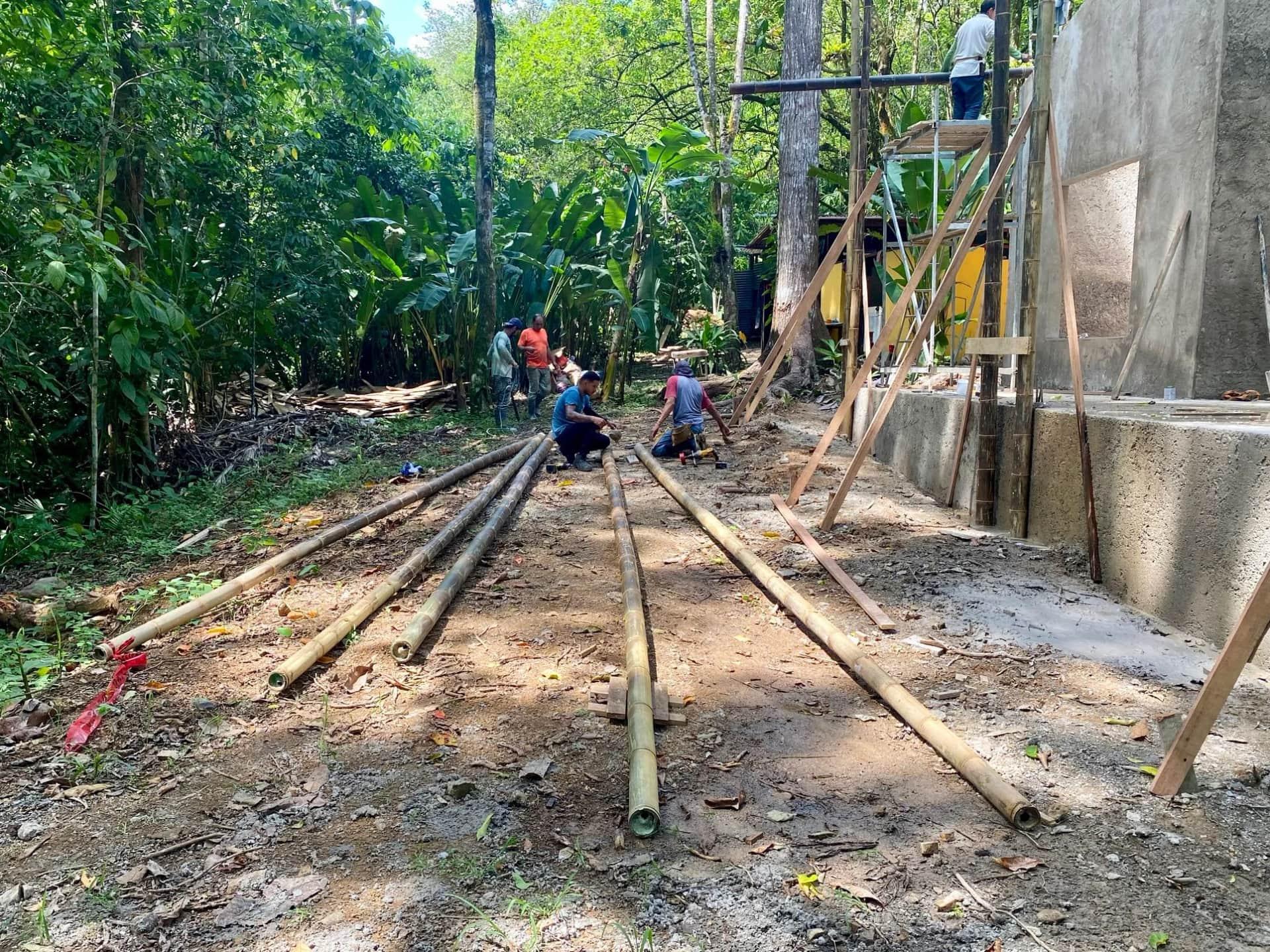 Bohorica Home Build: Black Bamboo Roof, photo 4
