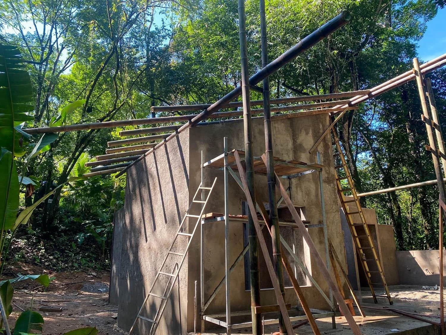 Bohorica Home Build: Black Bamboo Roof, photo 12
