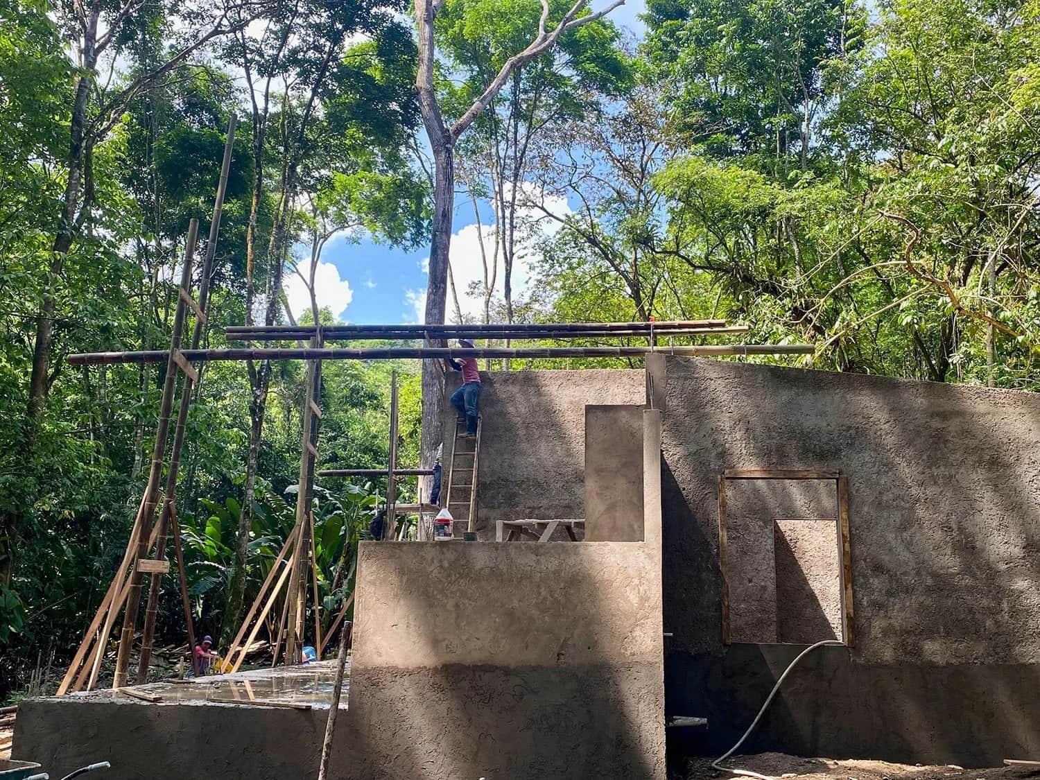 Bohorica Home Build: Black Bamboo Roof, photo 7