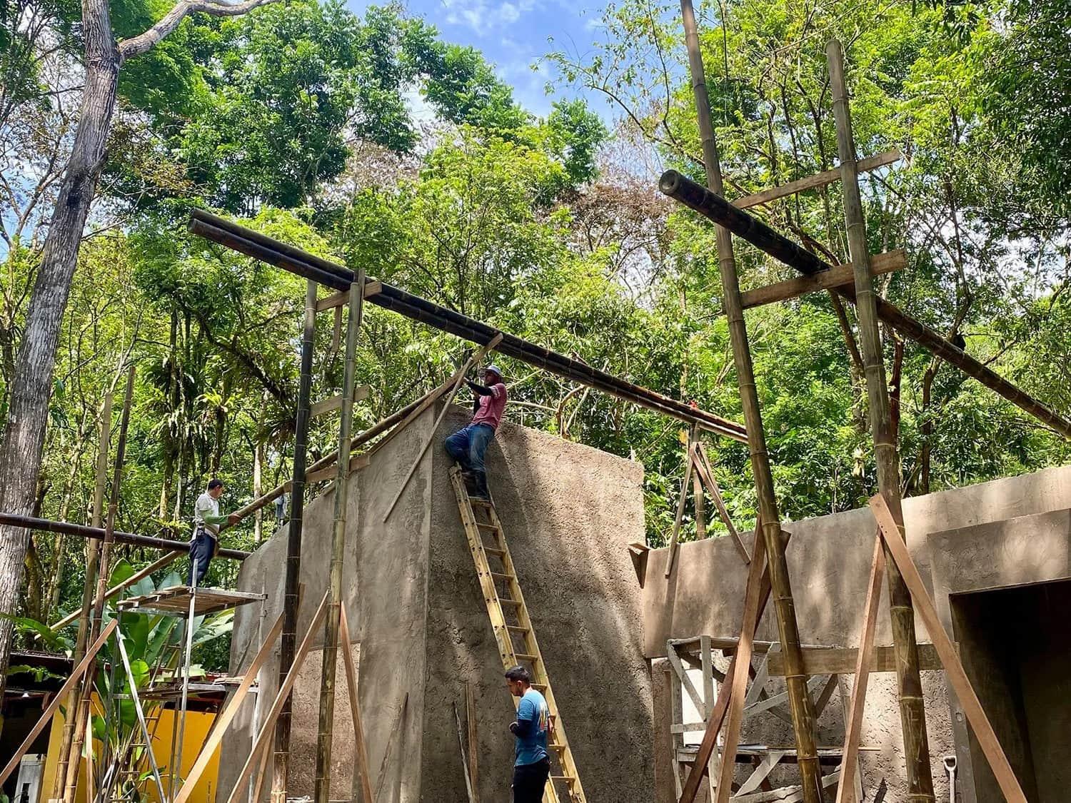 Bohorica Home Build: Black Bamboo Roof, photo 6