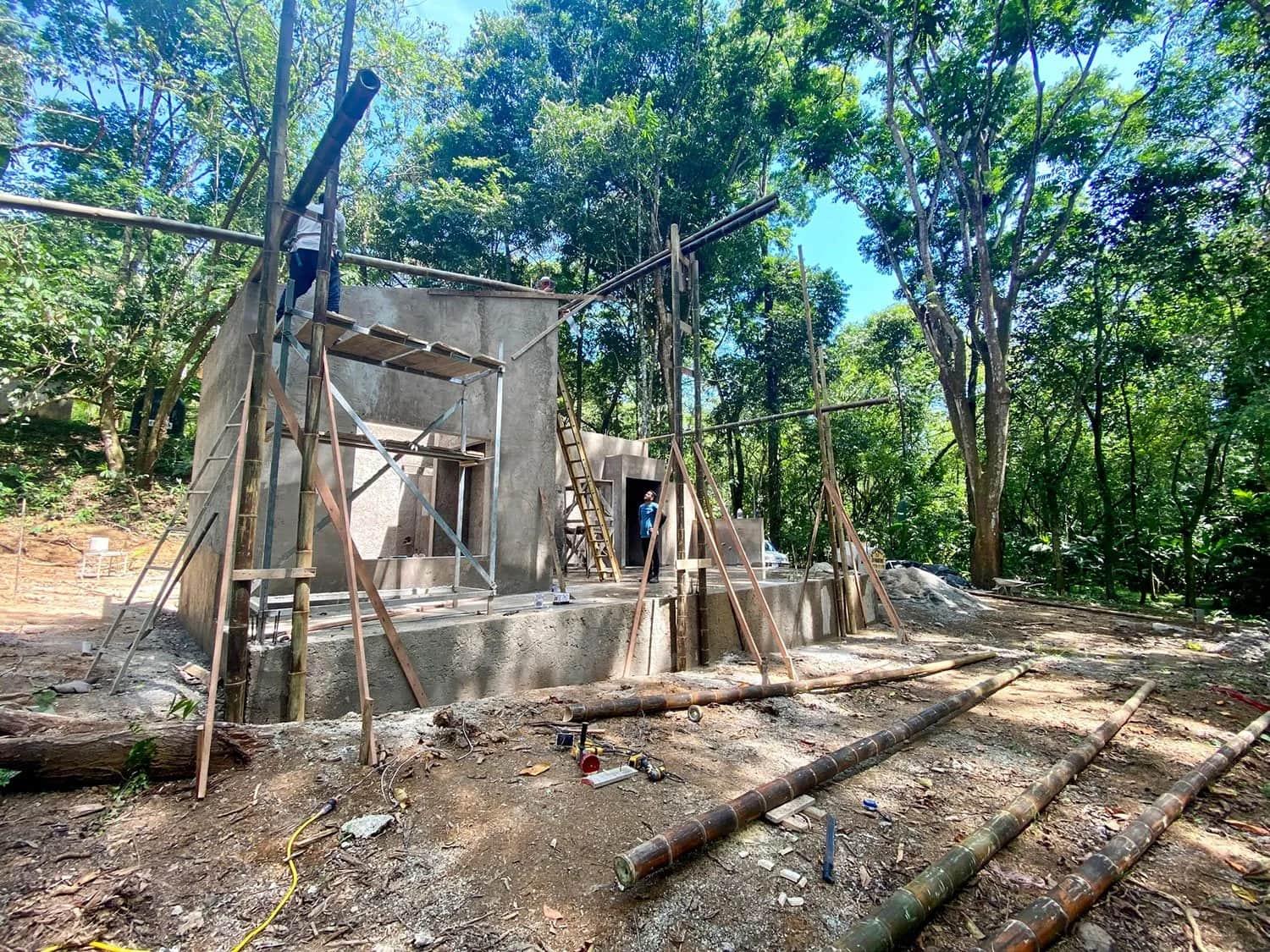 Bohorica Home Build: Black Bamboo Roof, photo 8