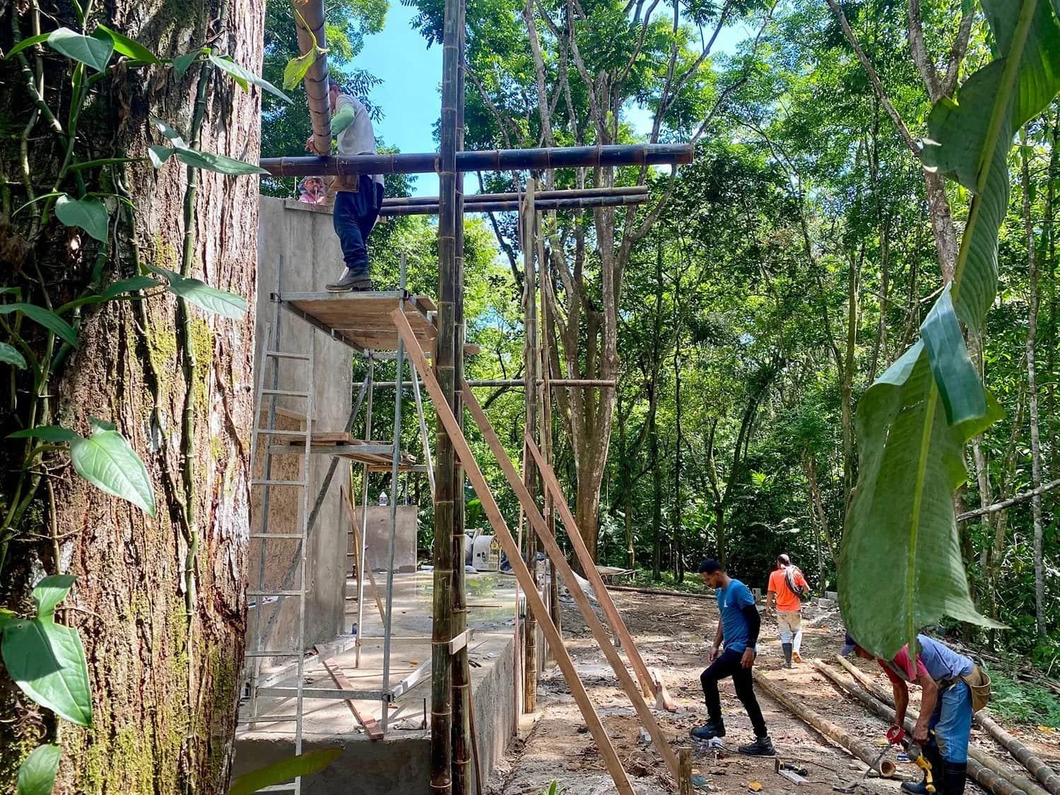 Bohorica Home Build: Black Bamboo Roof, photo 10