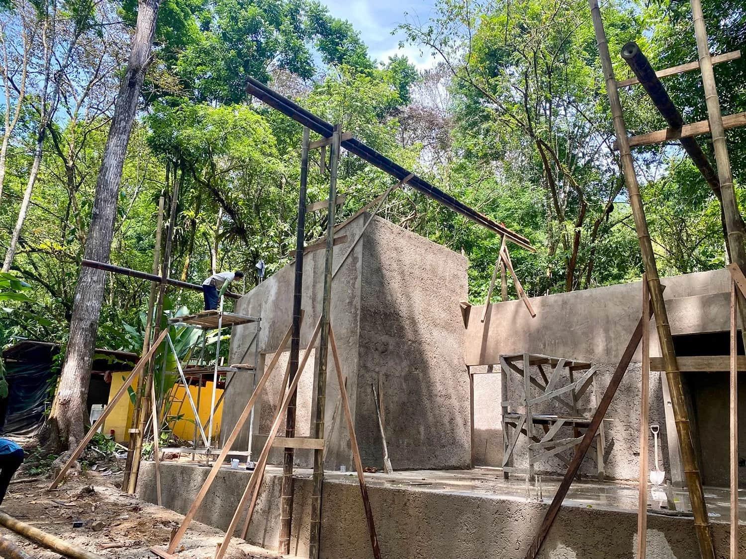 Bohorica Home Build: Black Bamboo Roof, photo 11