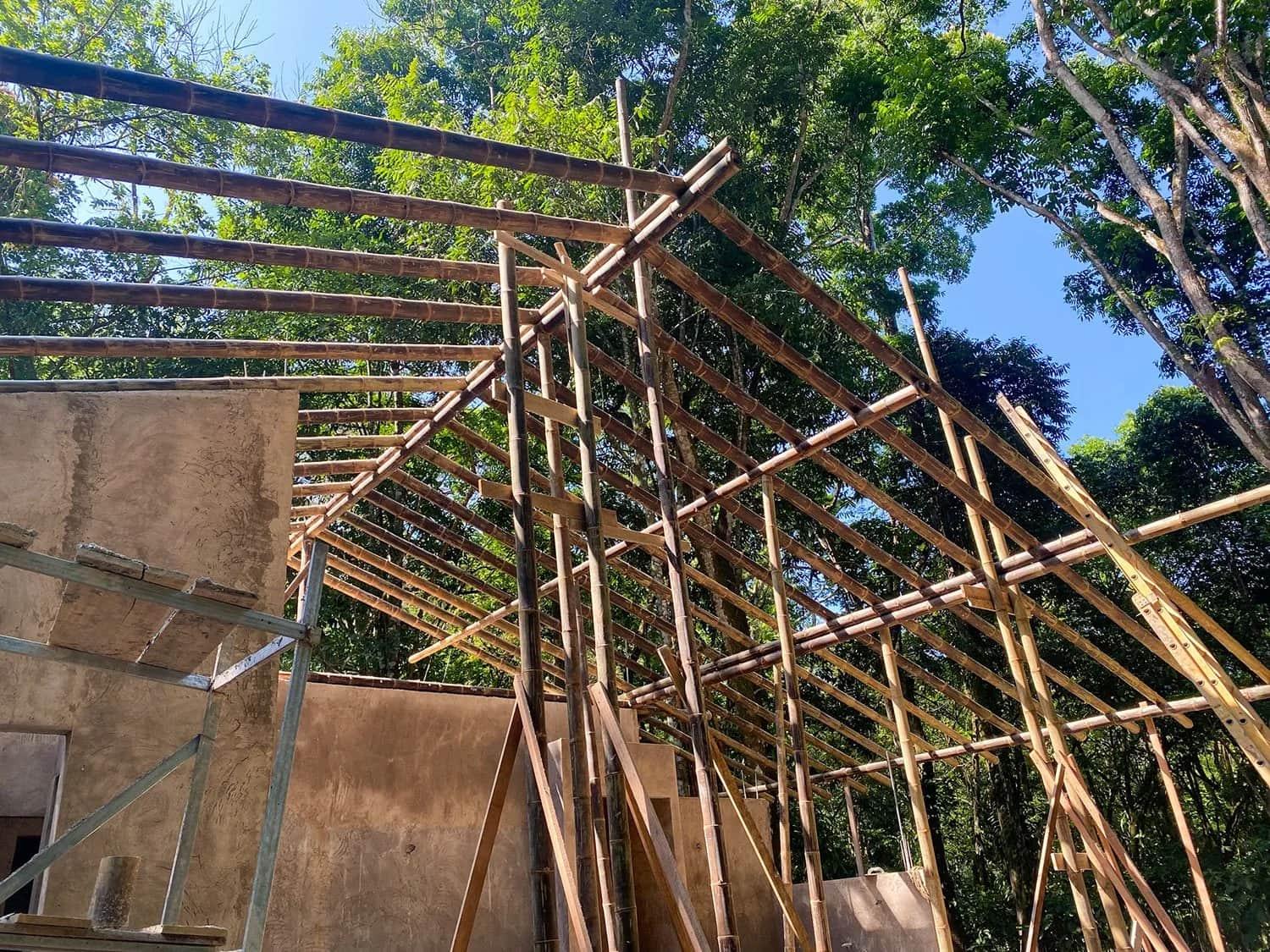 Bohorica Home Build: Black Bamboo Roof, photo 13