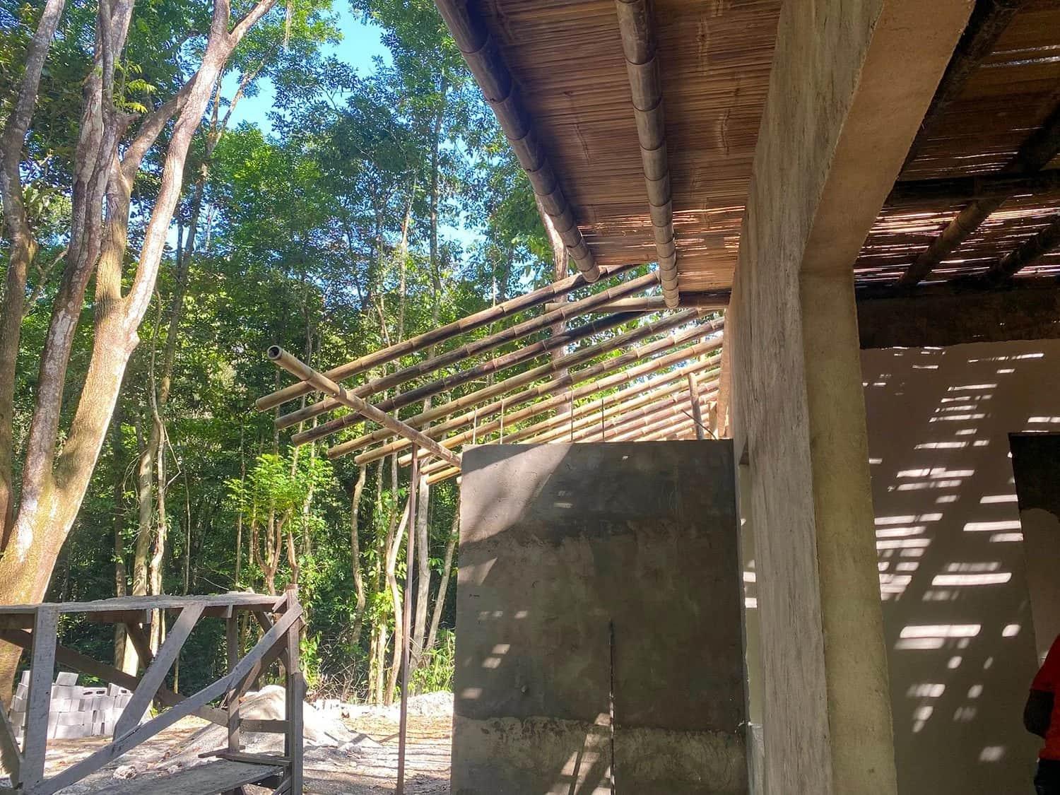 Bohorica Home Build: Black Bamboo Roof, photo 17