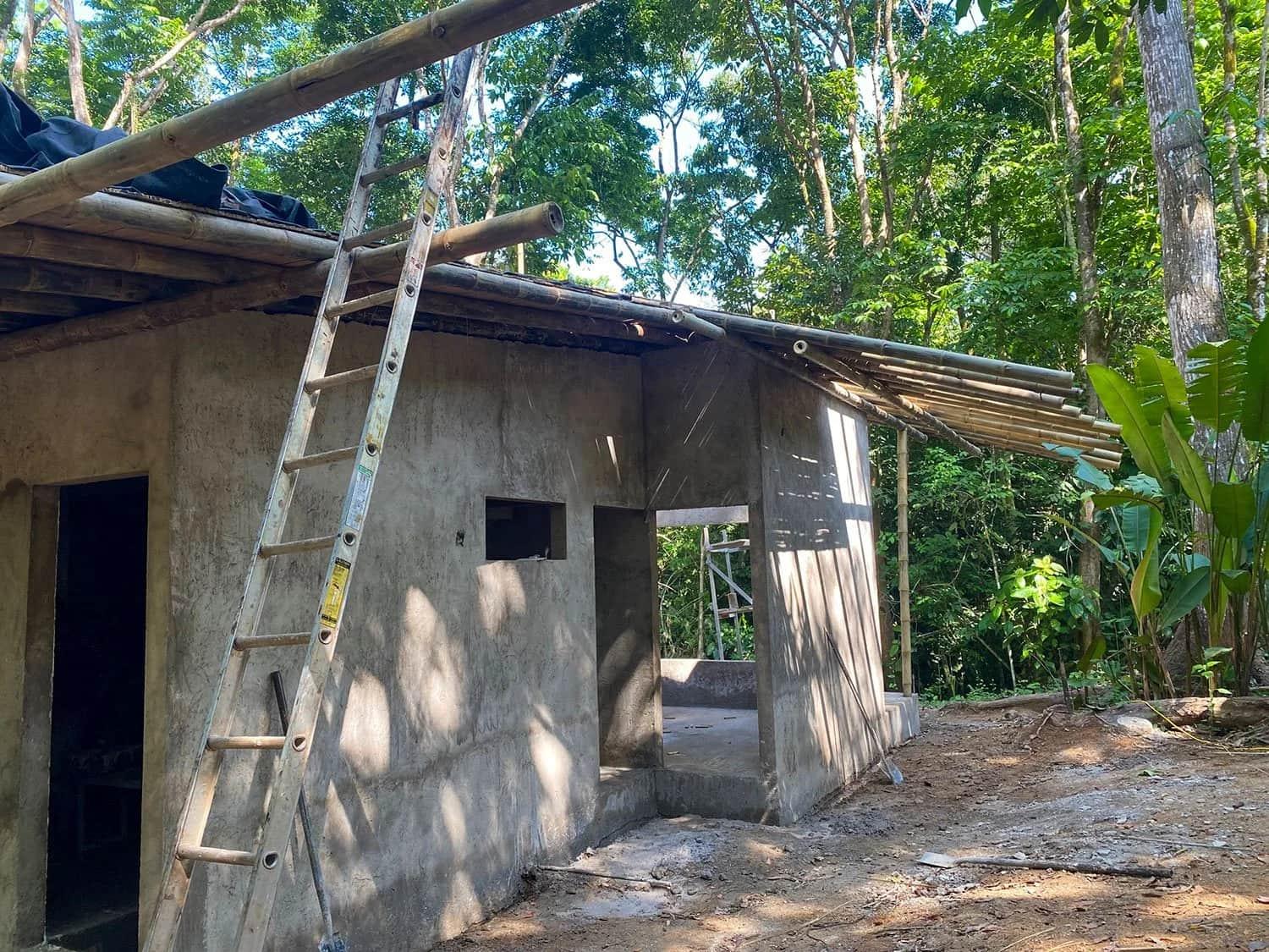 Bohorica Home Build: Black Bamboo Roof, photo 18