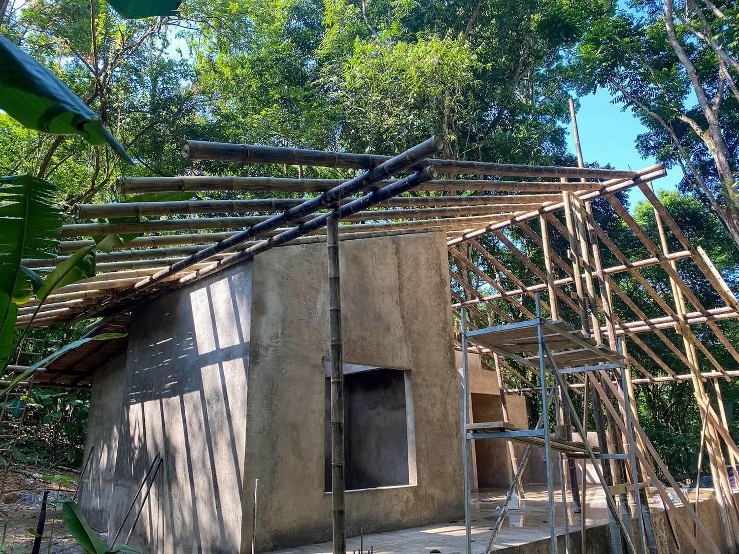 Bohorica Home Build: Black Bamboo Roof, photo 15