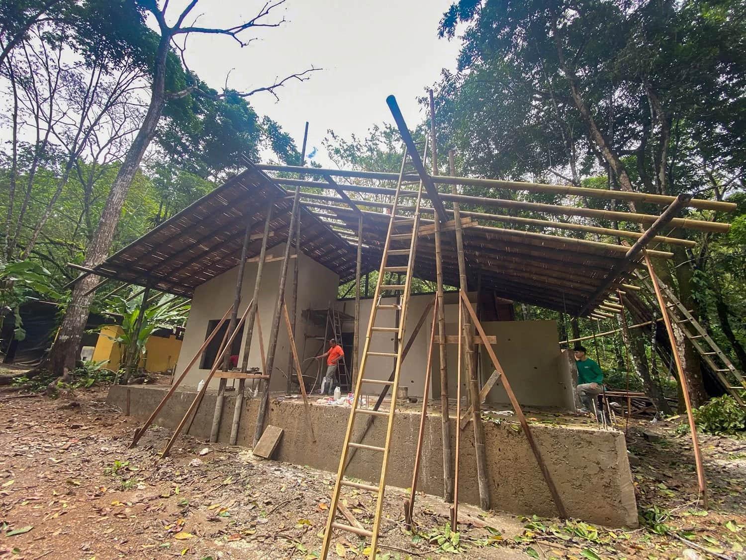 Bohorica Home Build: Black Bamboo Roof, photo 19