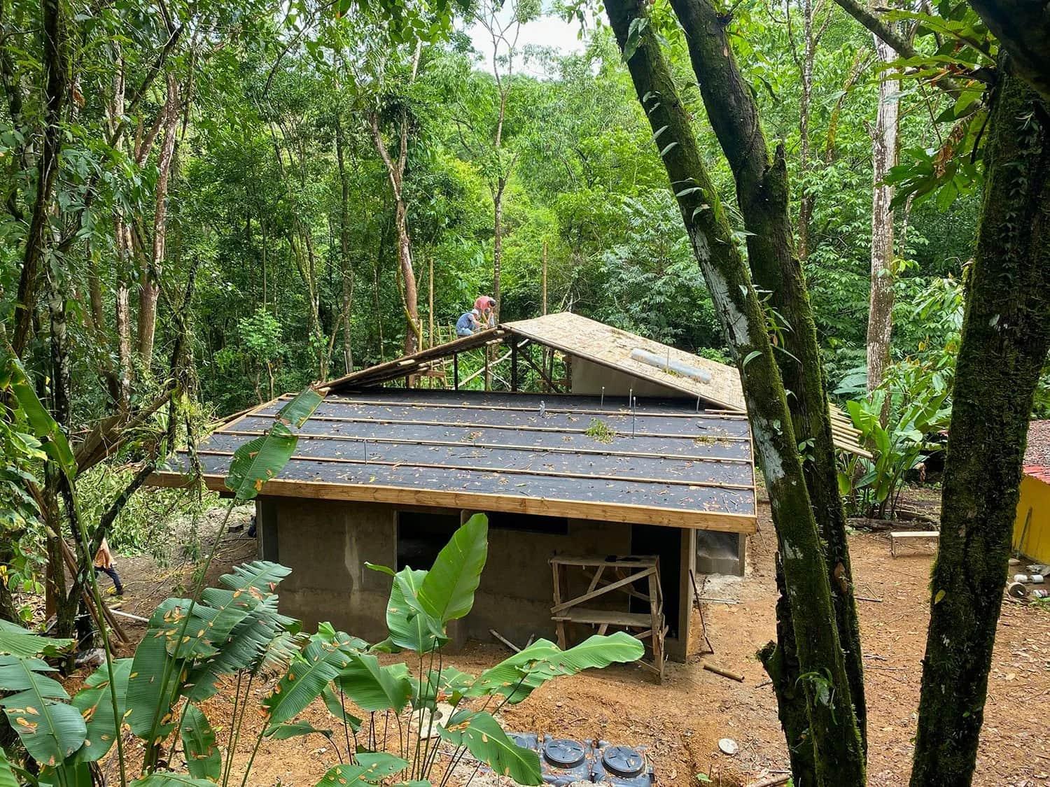 Bohorica Home Build: Black Bamboo Roof, photo 21