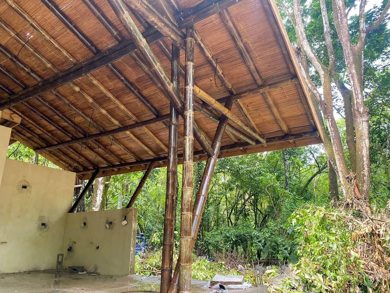 Bohorica Home Build: Black Bamboo Roof, photo 26