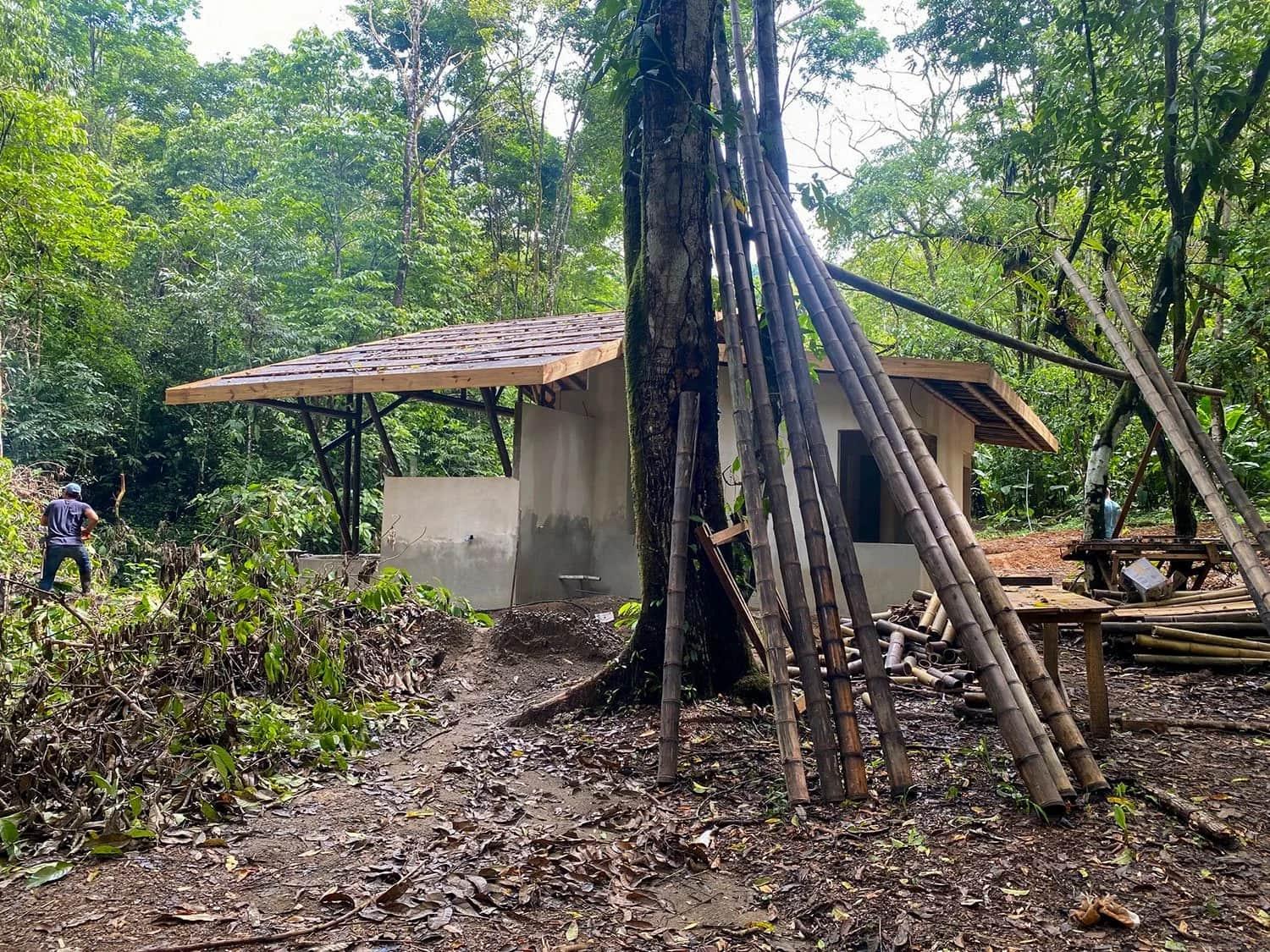 Bohorica Home Build: Black Bamboo Roof, photo 14