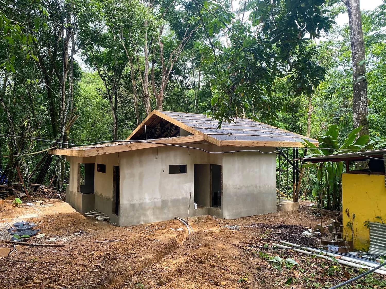 Bohorica Home Build: Black Bamboo Roof, photo 22