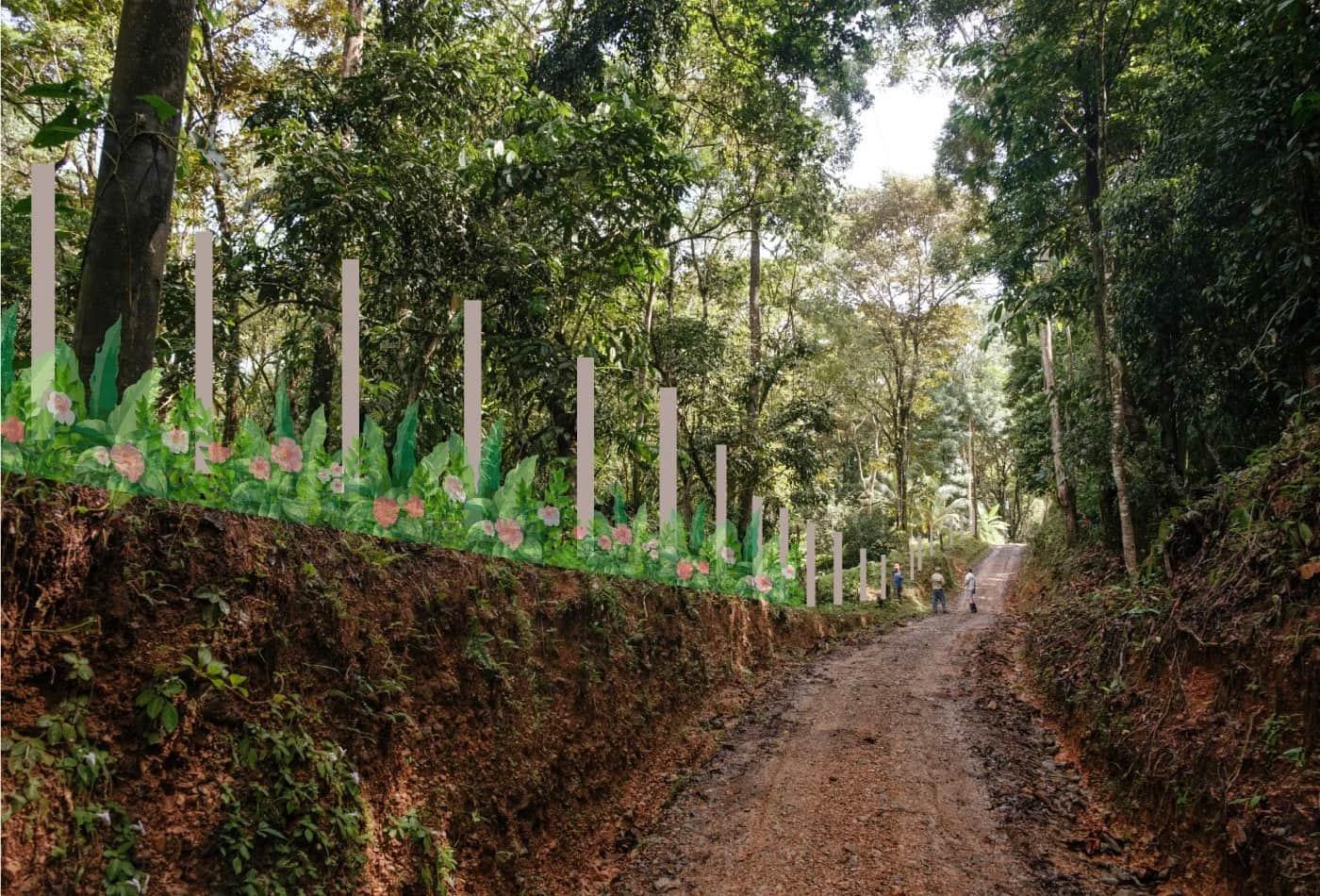 Living fence planted along road frontage and entrance –BOHORICA
