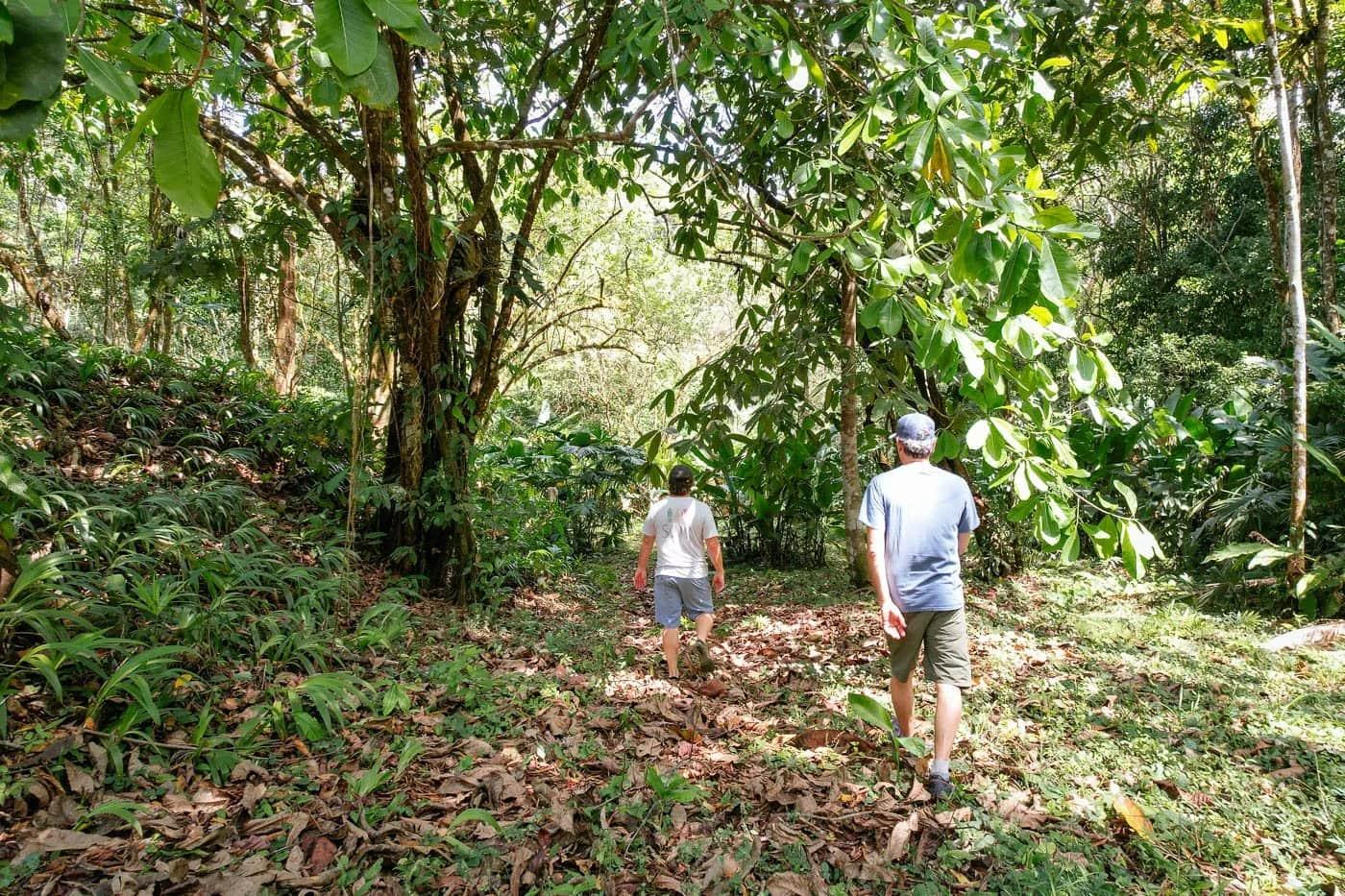 Bohorica Private Estate Home Building Project Overview Near Dominical, Costa Rica, photo 4
