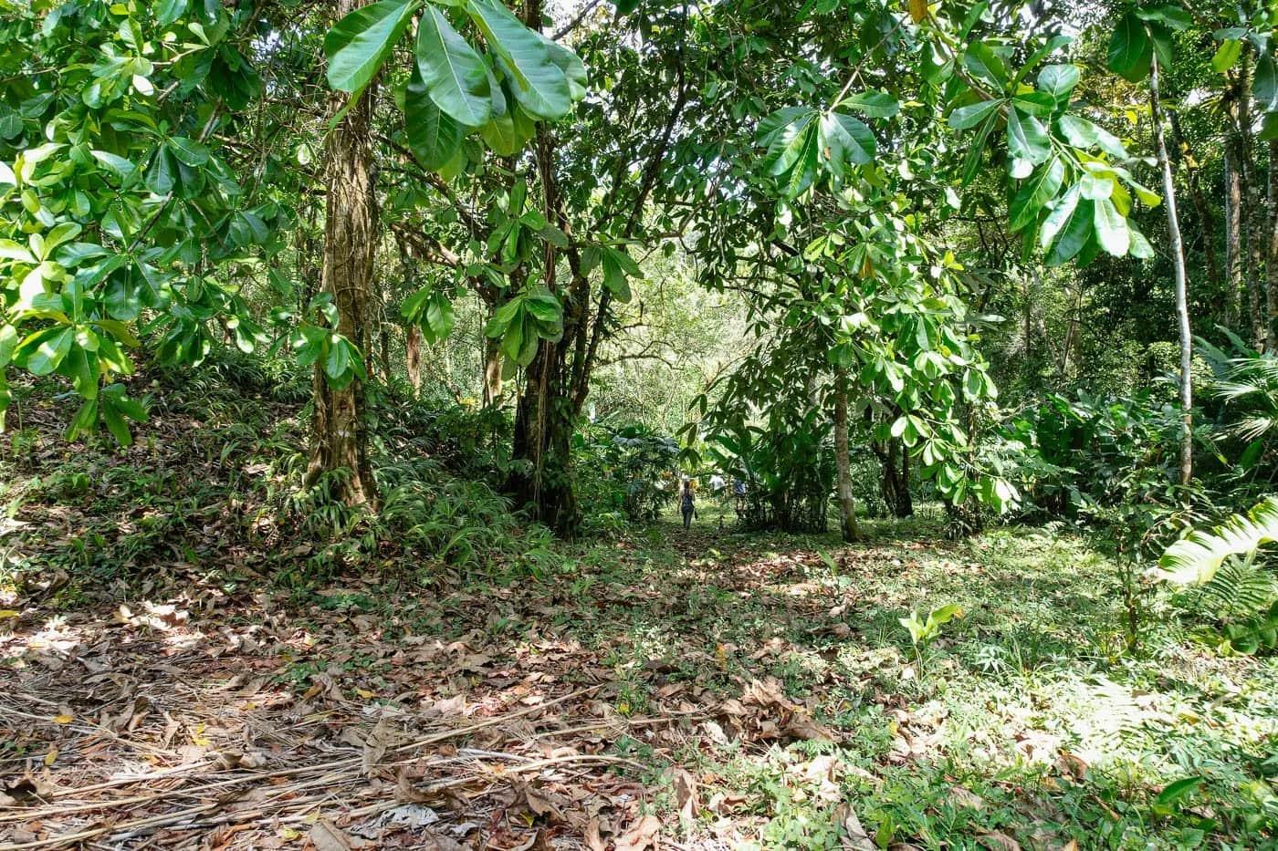 Bohorica Private Estate Home Building Project Overview Near Dominical, Costa Rica, photo 5