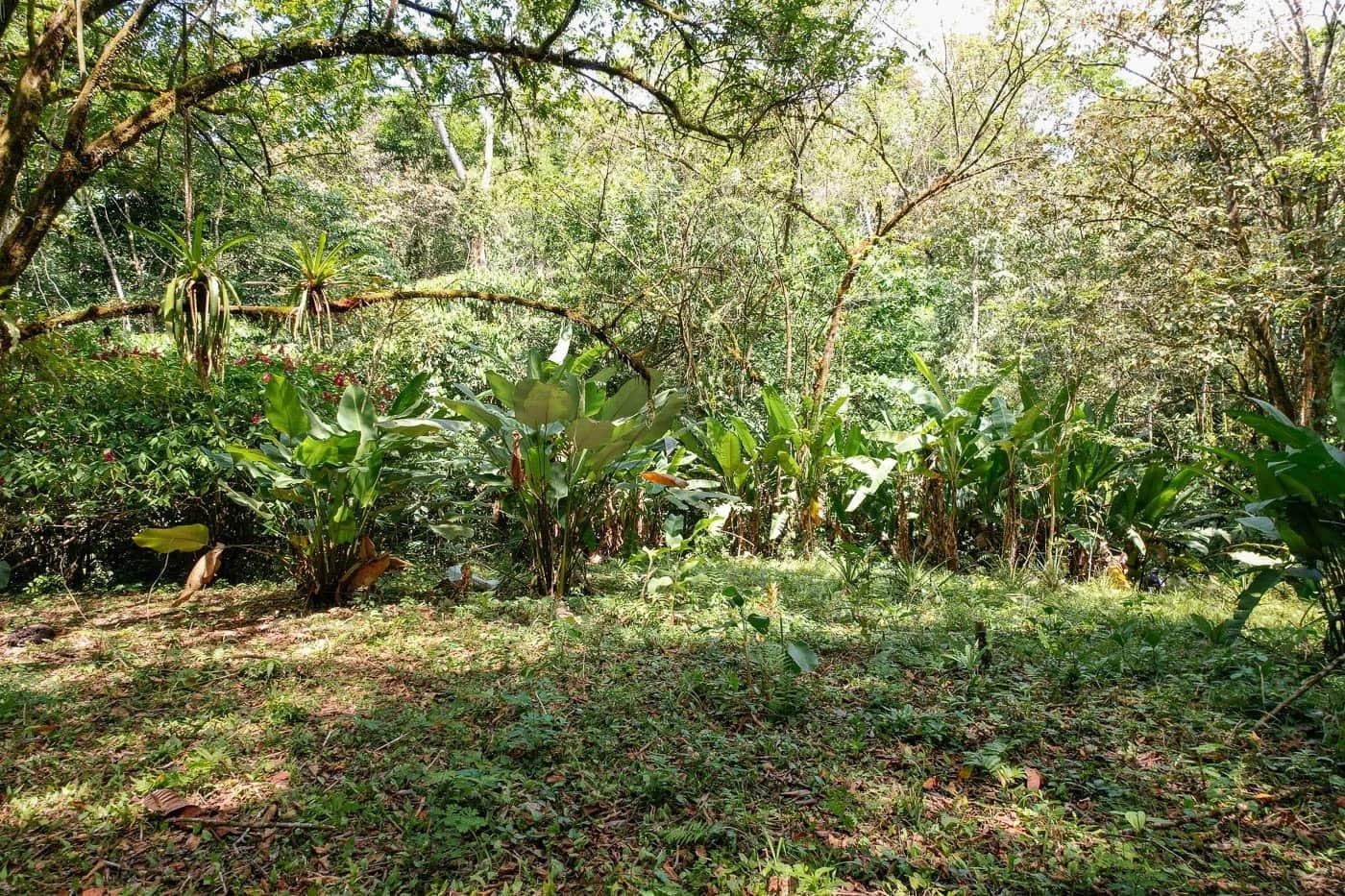 Bohorica Private Estate Home Building Project Overview Near Dominical, Costa Rica, photo 6