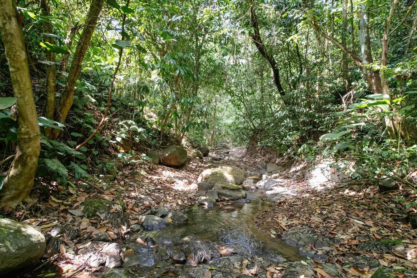Bohorica Private Estate Home Building Project Overview Near Dominical, Costa Rica, photo 7