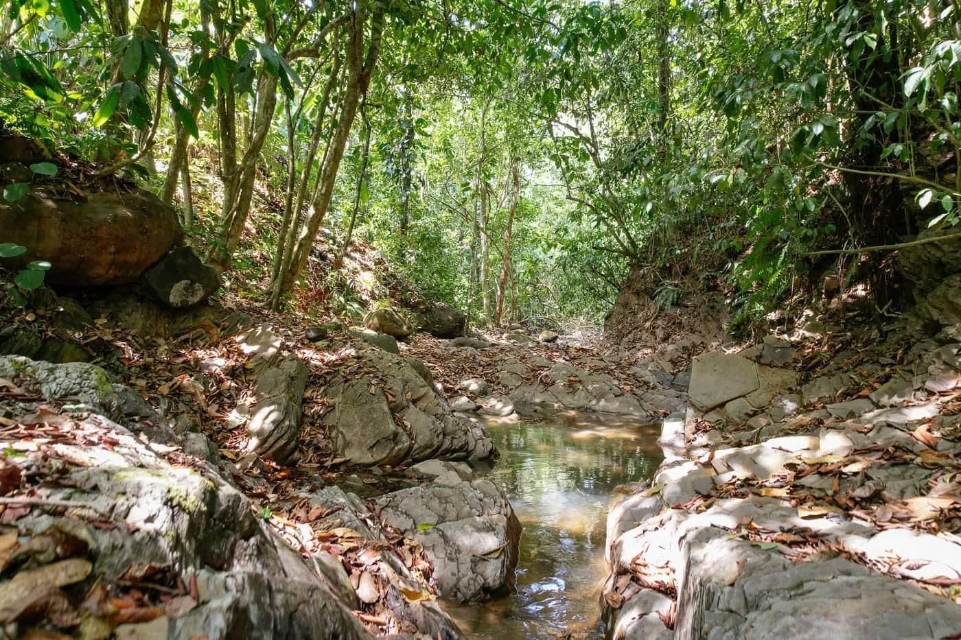 Bohorica Private Estate Home Building Project Overview Near Dominical, Costa Rica, photo 8