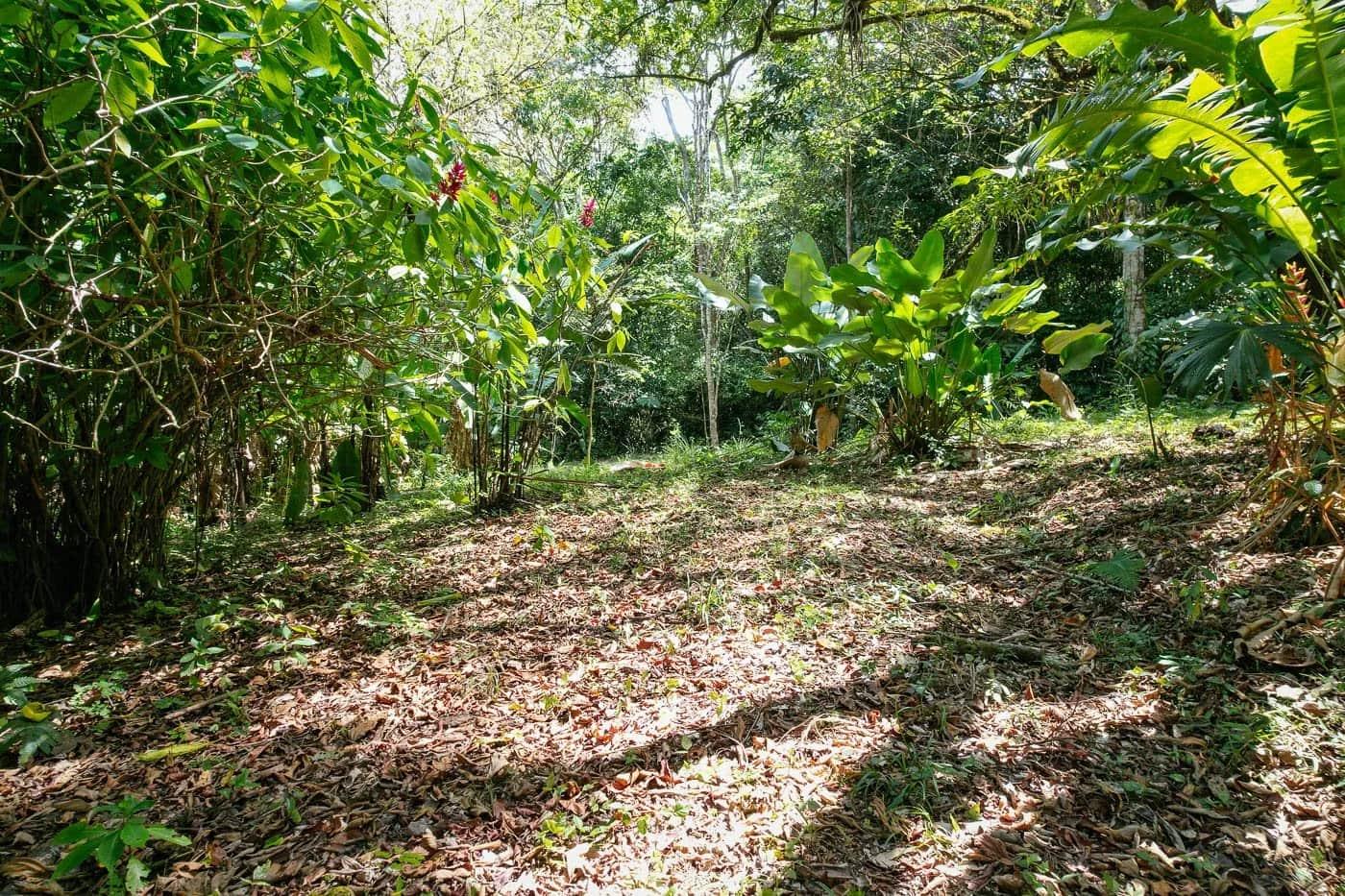 Bohorica Private Estate Home Building Project Overview Near Dominical, Costa Rica, photo 9