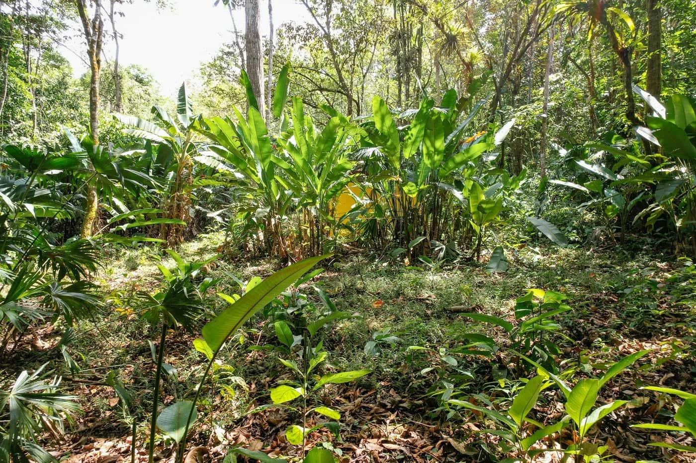 Bohorica Private Estate Home Building Project Overview Near Dominical, Costa Rica, photo 10