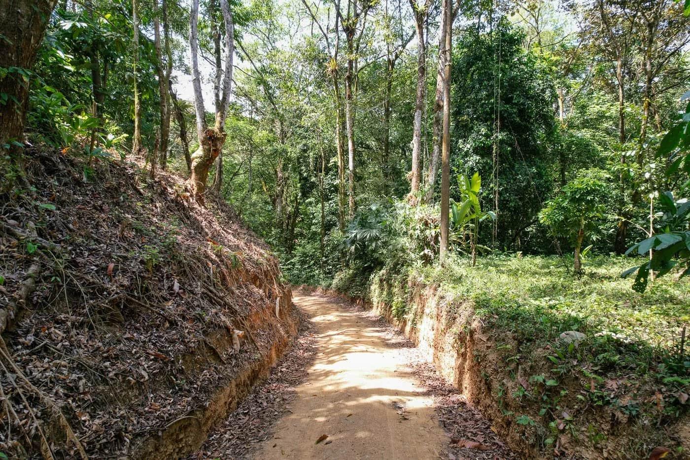 Bohorica Private Estate Home Building Project Overview Near Dominical, Costa Rica, photo 11