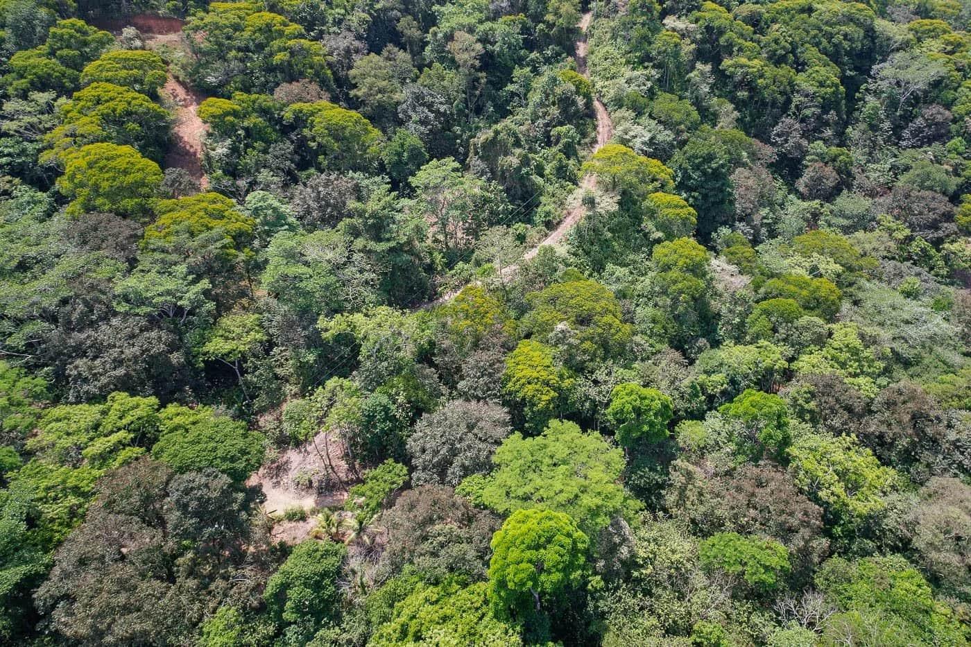Bohorica Private Estate Home Building Project Overview Near Dominical, Costa Rica, photo 13