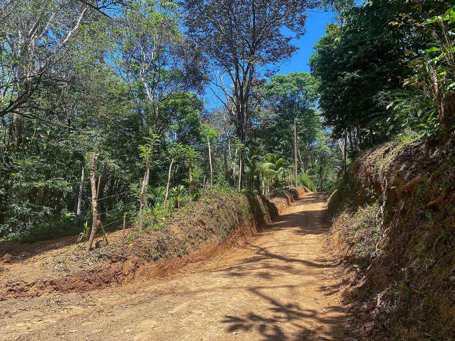 Land clearing and site prep underway at Casa Bohorica, photo 6
