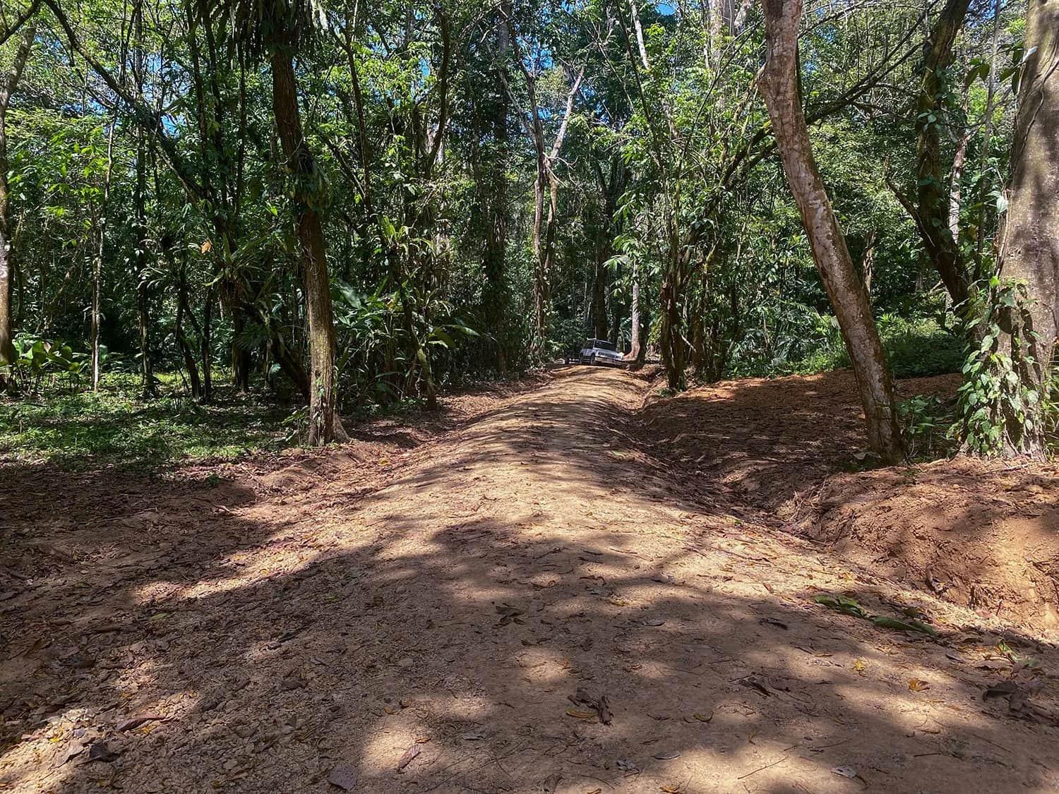 Land clearing and site prep underway at Casa Bohorica, photo 10