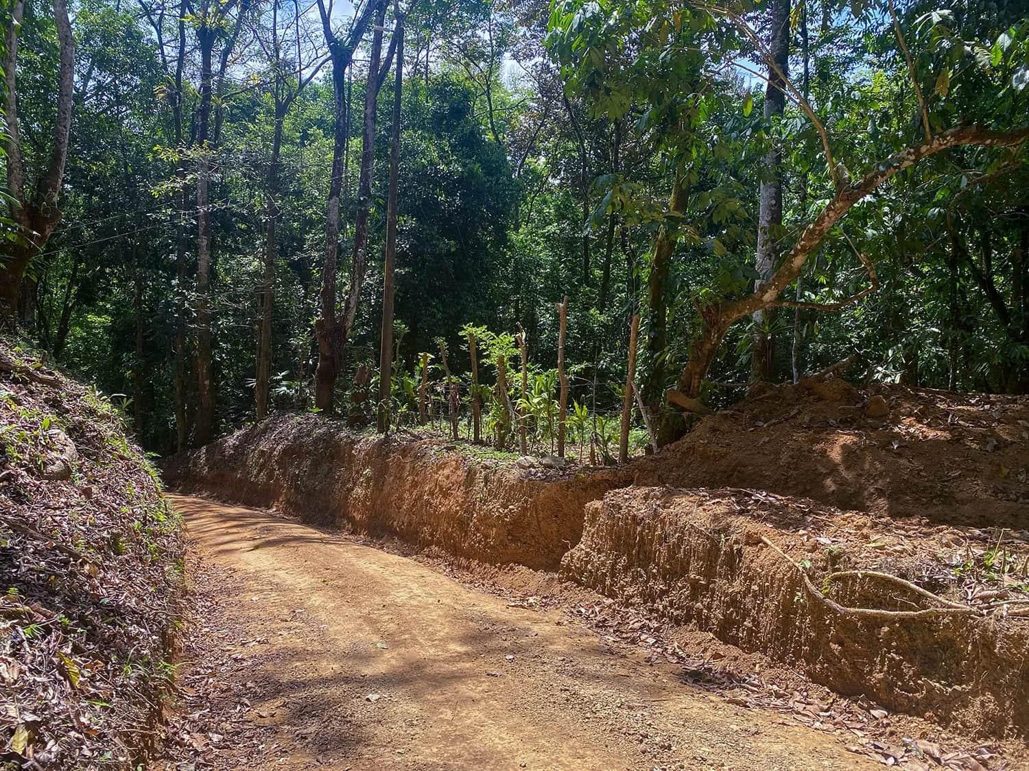 Land clearing and site prep underway at Casa Bohorica, photo 7