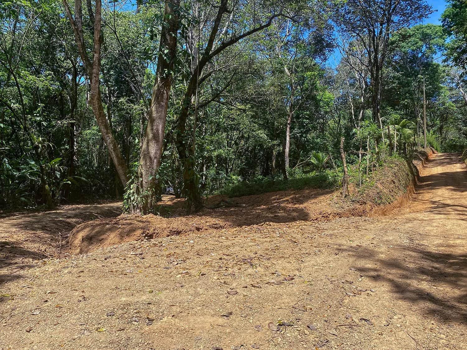 Land clearing and site prep underway at Casa Bohorica, photo 9