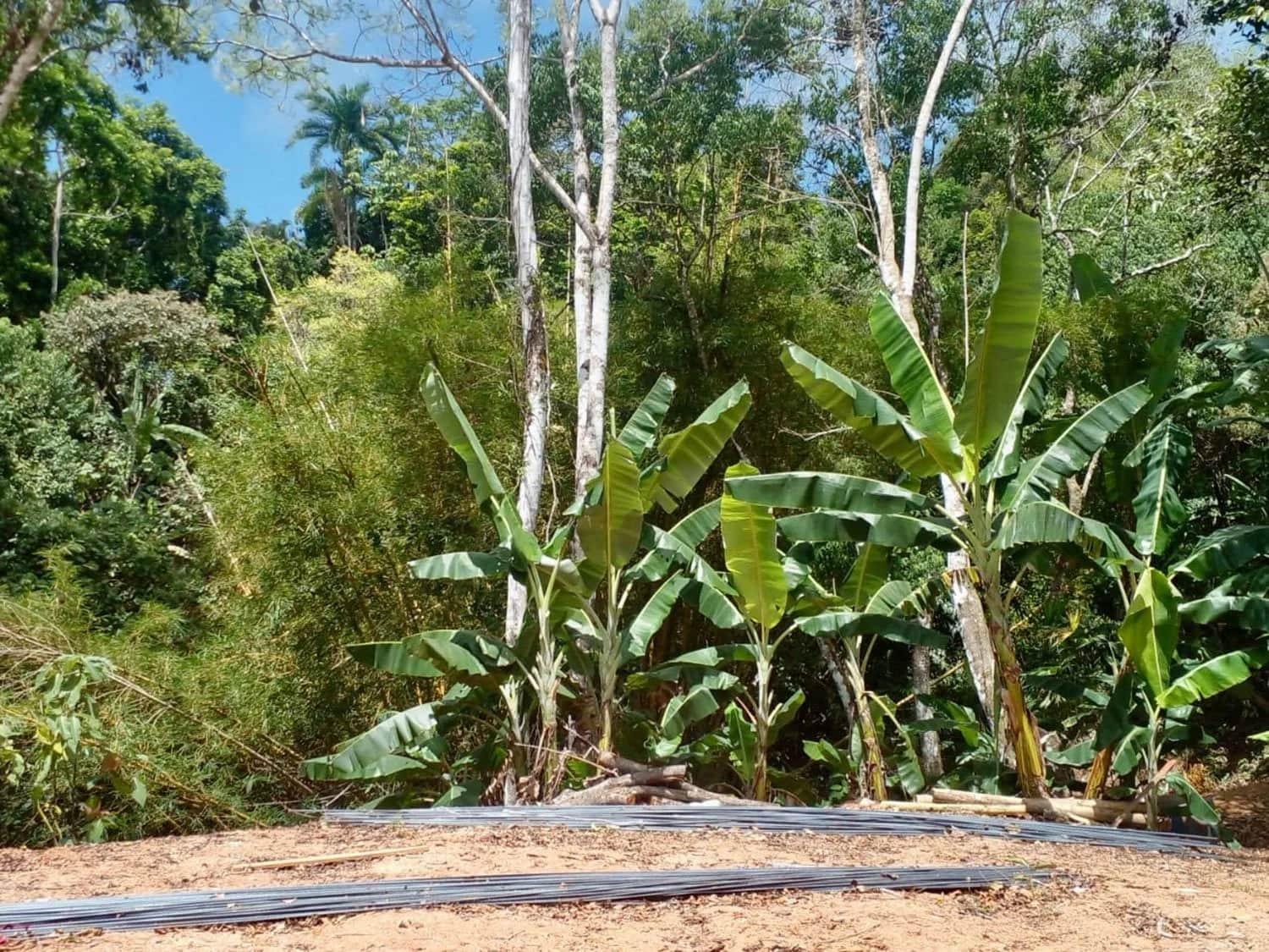 Building the Infinity Pool Foundation at Casa Cavu, photo 2