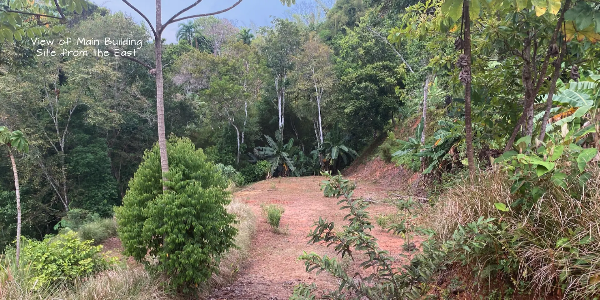 Project Overview for Casa Cavu Residential Home and Investment Rental in Dominical, photo 11