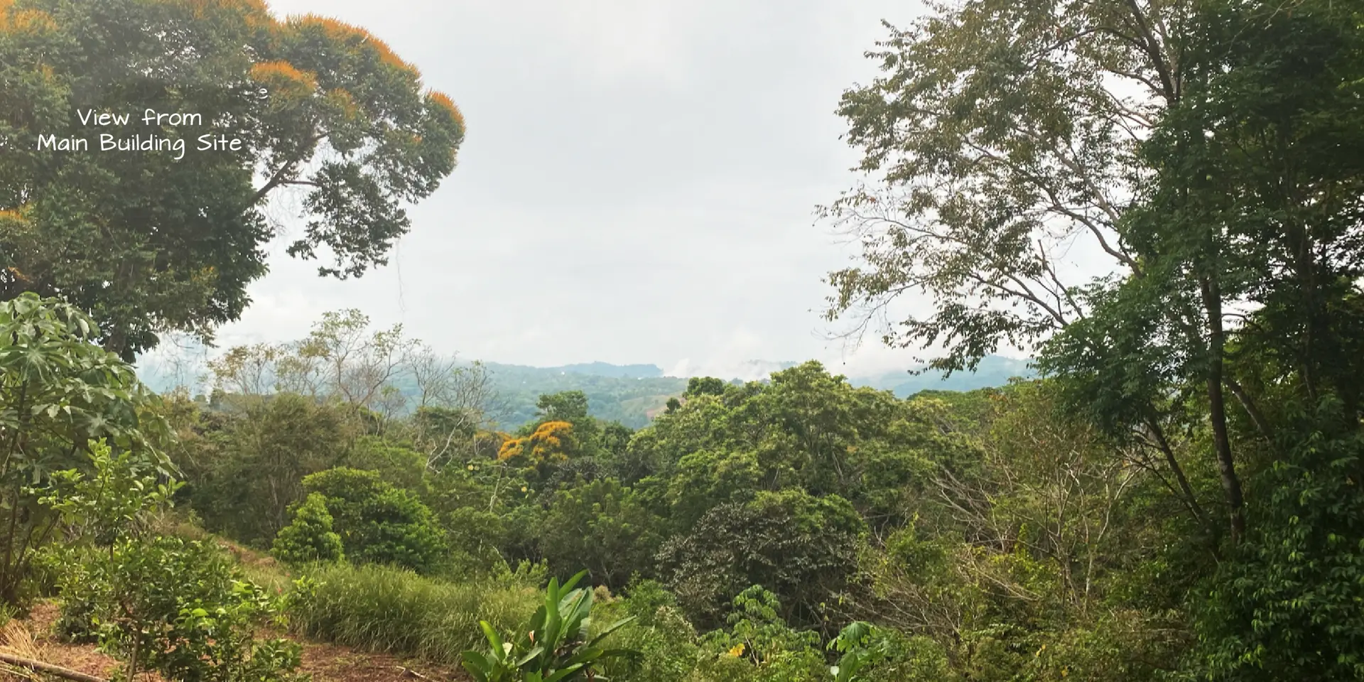Project Overview for Casa Cavu Residential Home and Investment Rental in Dominical, photo 12