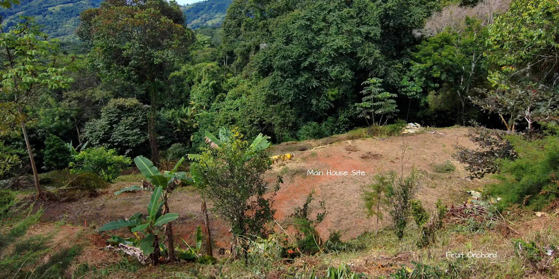 Project Overview for Casa Cavu Residential Home and Investment Rental in Dominical, photo 7