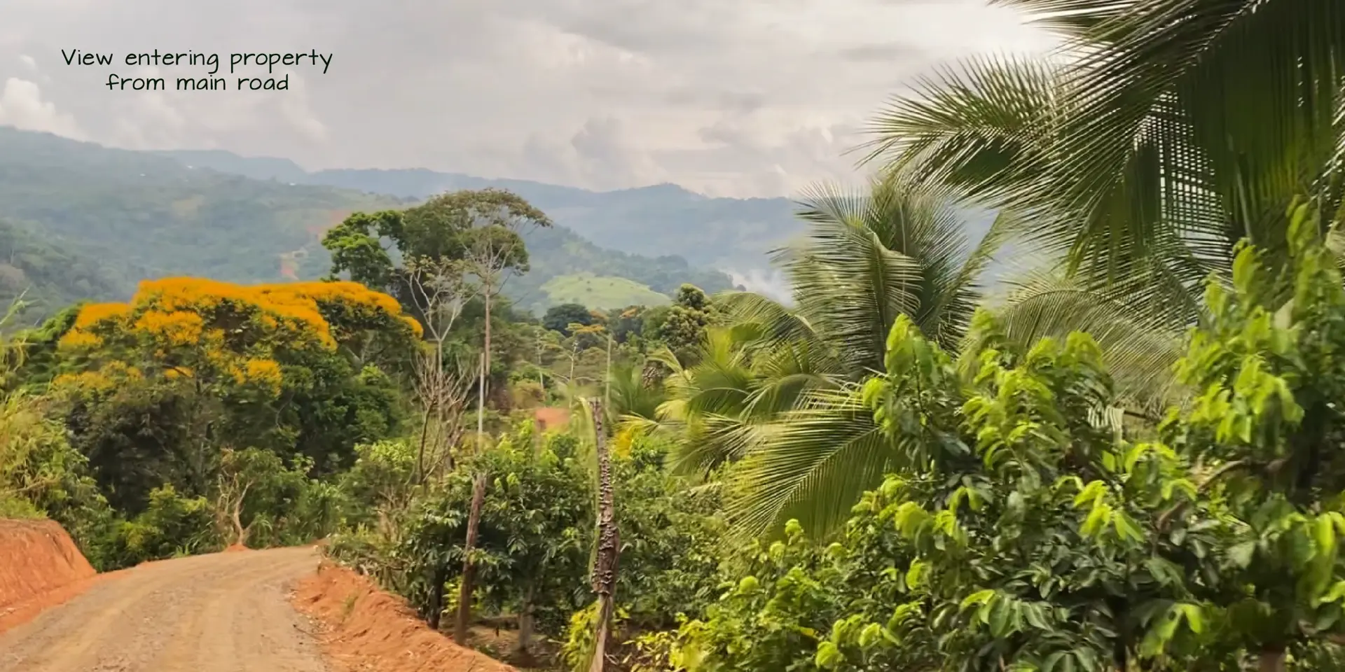 Project Overview for Casa Cavu Residential Home and Investment Rental in Dominical, photo 10