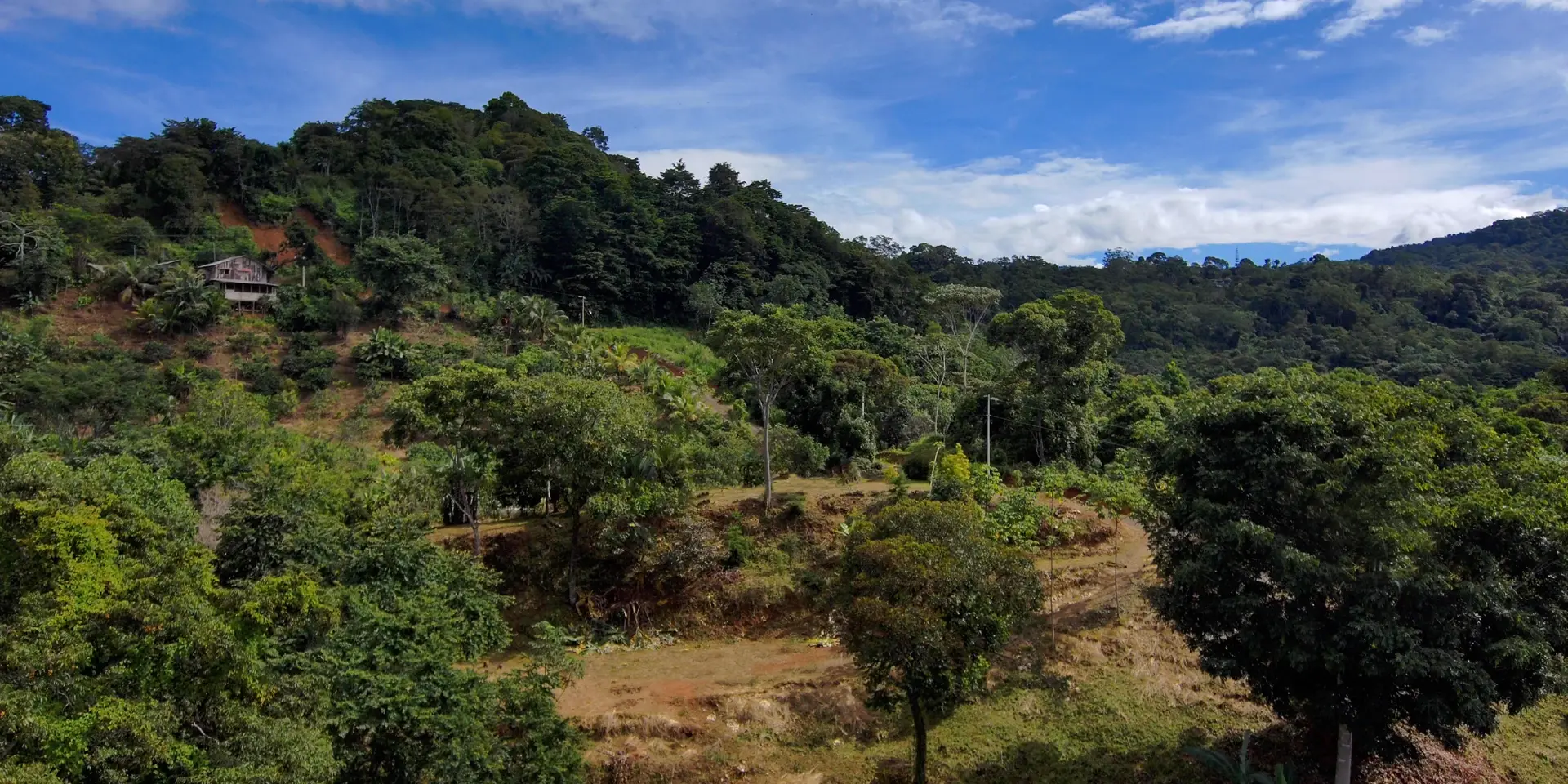 Project Overview for Casa Cavu Residential Home and Investment Rental in Dominical, photo 4