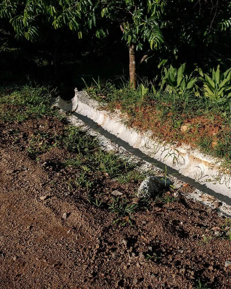 Road Improvement, Drainage & Power Lines Installed – Casa Cavu, photo 6