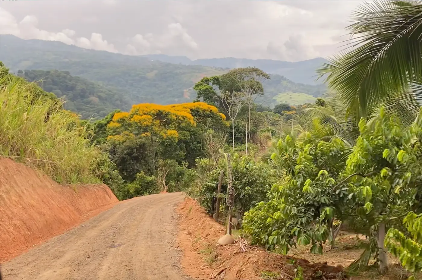 Road Improvement, Drainage & Power Lines Installed – Casa Cavu, photo 3