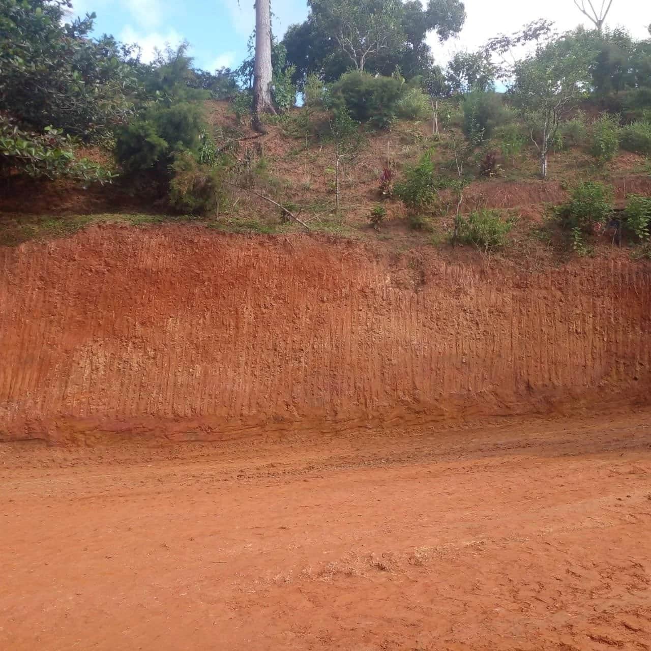 Site work and land development begins at Casa Cavu, photo 8
