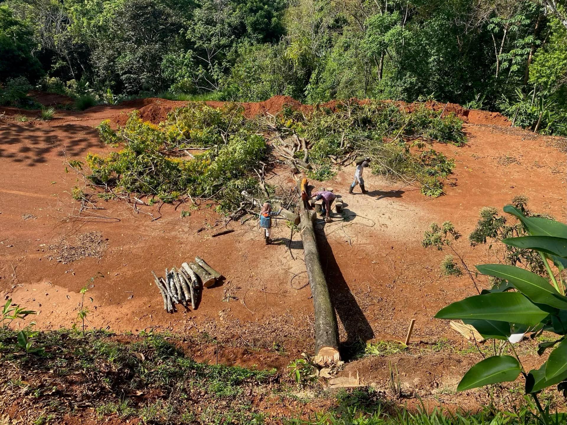 Site work and land development begins at Casa Cavu, photo 9