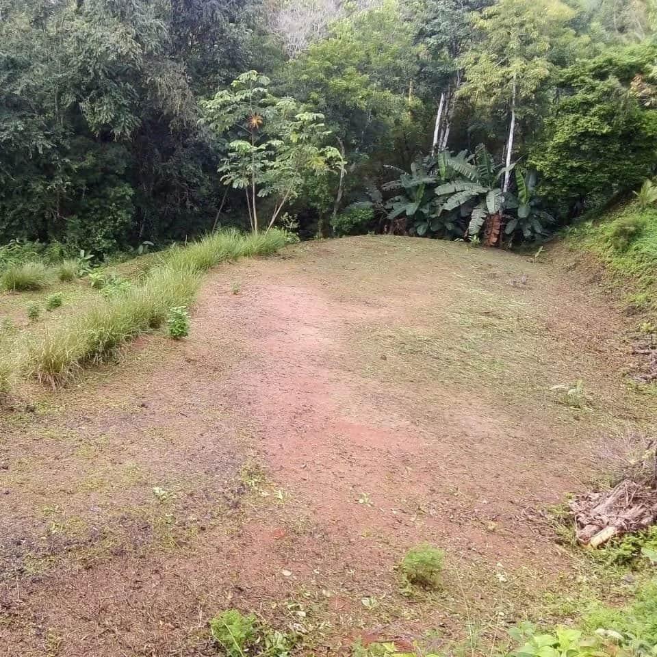 Site work and land development begins at Casa Cavu, photo 3